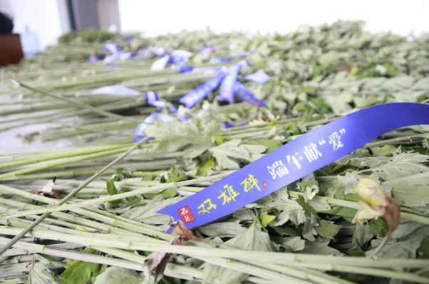 贈(zèng)你一束“艾”，端午祈安康，雙雄醉端午獻(xiàn)“愛”